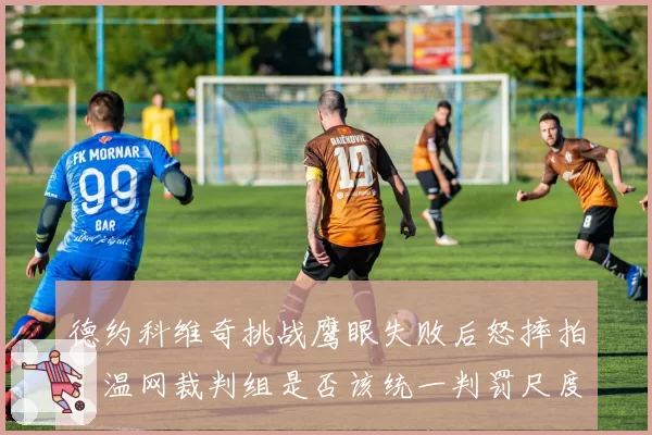 德约科维奇挑战鹰眼失败后怒摔拍,温网裁判组是否该统一判罚尺度?